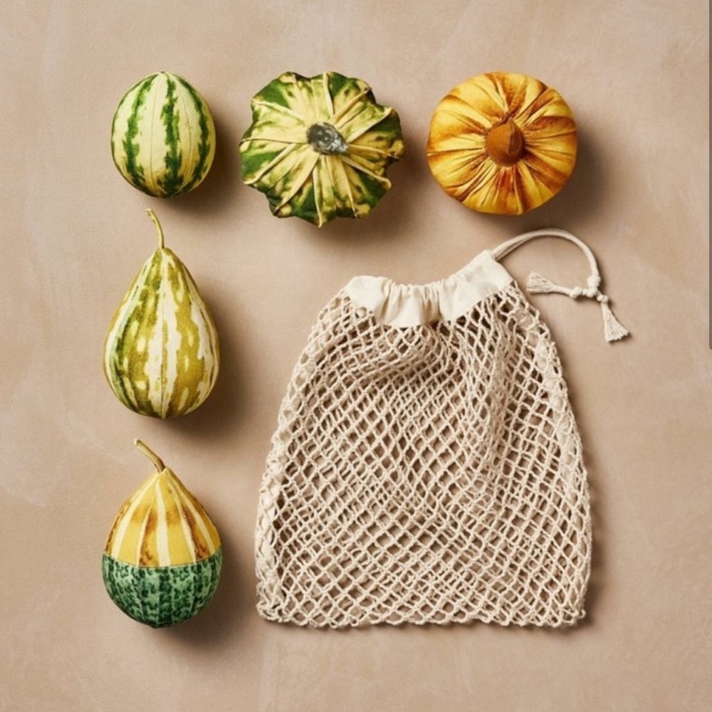 5pc Pillow Set Fall Assorted Gourds - John Derian for Target